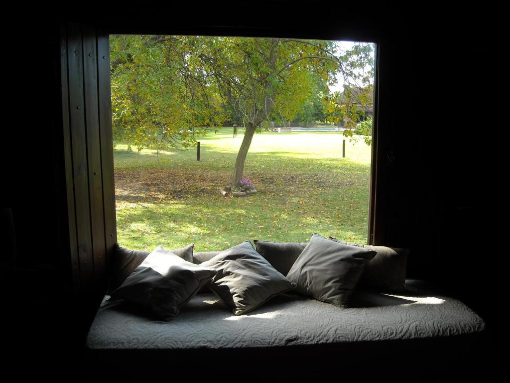 Cabanas Las Lavandas En Pilar Pilar  Oda fotoğraf