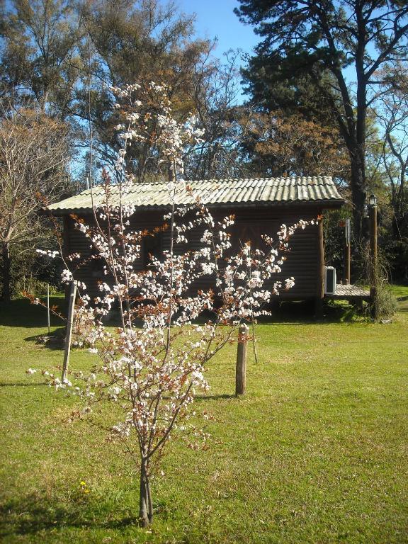 Cabanas Las Lavandas En Pilar Pilar  Dış mekan fotoğraf