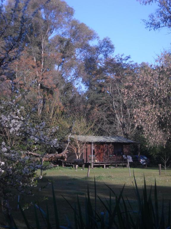 Cabanas Las Lavandas En Pilar Pilar  Oda fotoğraf