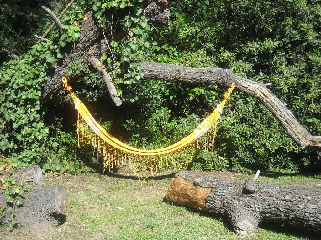 Cabanas Las Lavandas En Pilar Pilar  Oda fotoğraf